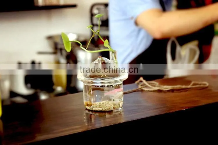 wholesale mushroom shaped glass vase for plant or small fish