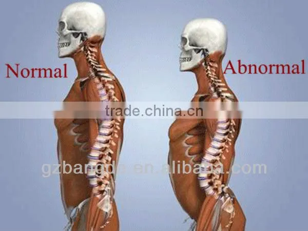 Hot Sale Impulse Adjusting Mesotherapy Gun for Bone BD-M005