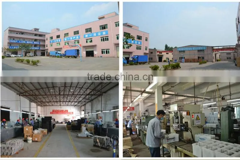 manufacturing chinese professional car battery