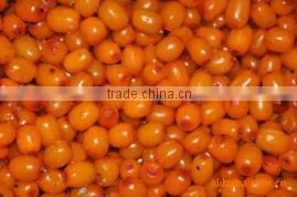 IQF sea-buckthorn