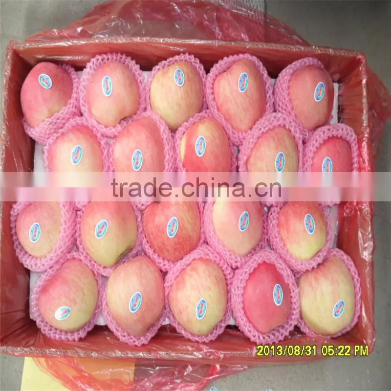 export dubai fuji apple