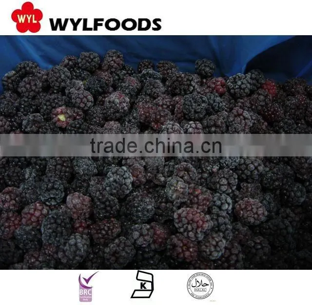 Chian fruite Frozen IQF black berry
