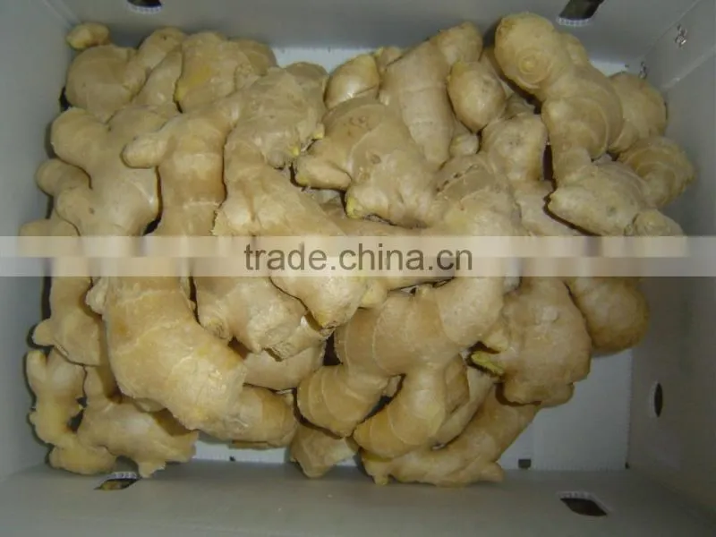 Good quality Chinese fresh ginger