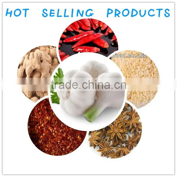 Natural AD Ginger Flakes