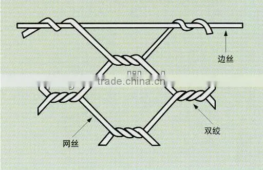 Hexagonal Wire Mesh/Gabion box/wire mesh container