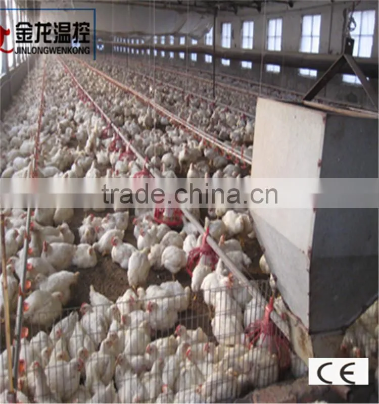 automatic broiler feeding system