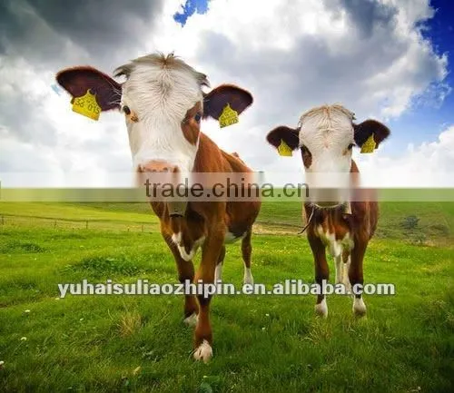 PU Animal recognition ear tag for sheep