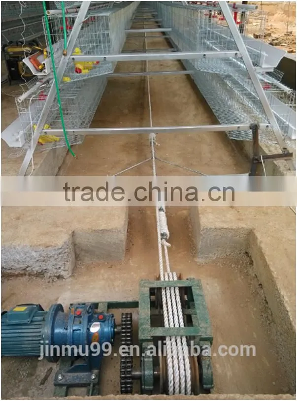 High quality galvanised steel wire layer chicken cage for sale
