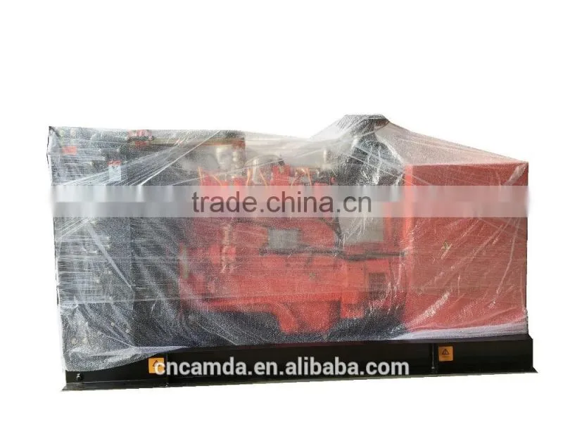 Biogas Generator 120KW/ Biomass Generator/Waste power plant 60Hz