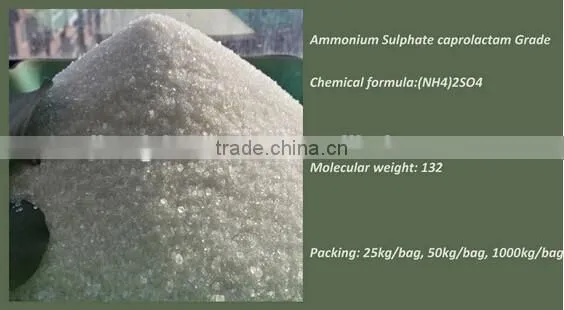 Ammonium Sulfate