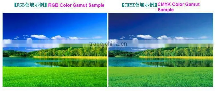 Pantone Color Bridge Coated & Uncoated Set GP6102N