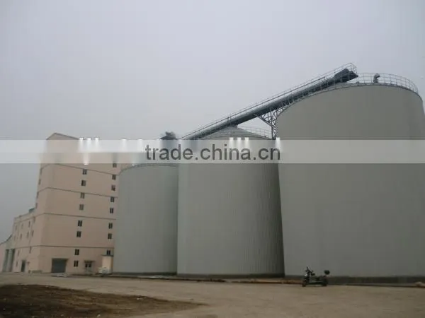 meat bone meal hot sale (MBM)