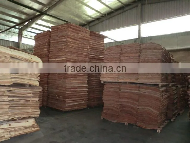 CHEAP NATURAL EUCALYPTUS CORE VENEER FOR KOREA MARKET