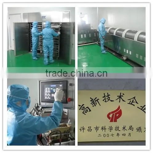 wholesale high quality with best price bee propolis tablet