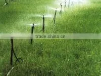 Micro sprayer mist for irrigation