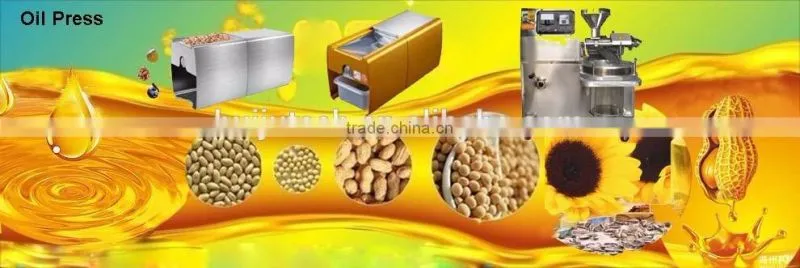 Mini Seed oil extraction peanut oil press machine for seed coconut palm kernel extract HJ-P05