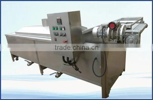 Hot sale factory price advanced design vegetable and fruit blanching machine