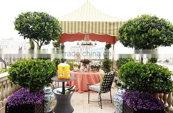 Innovative hotel swimming pool use rattan ice bucket for birtherday party