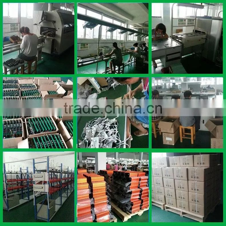 Electronic dimmable HID ballast /hydroponics ballast/250w grow light mh/hps ballast