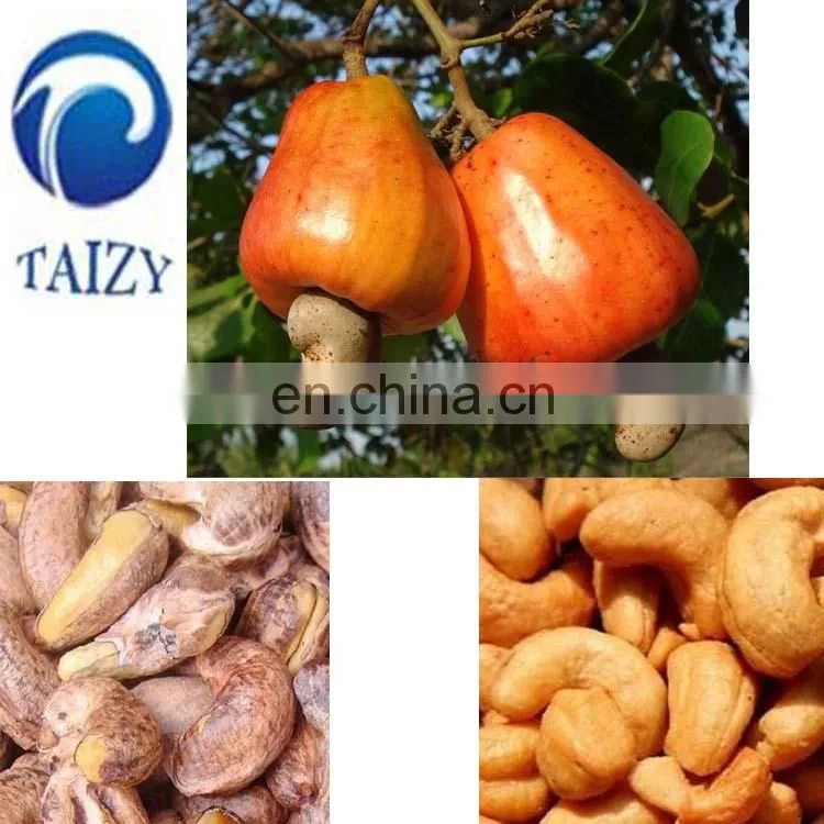 good quality cashew nut processing line cashew nuts cracker machine