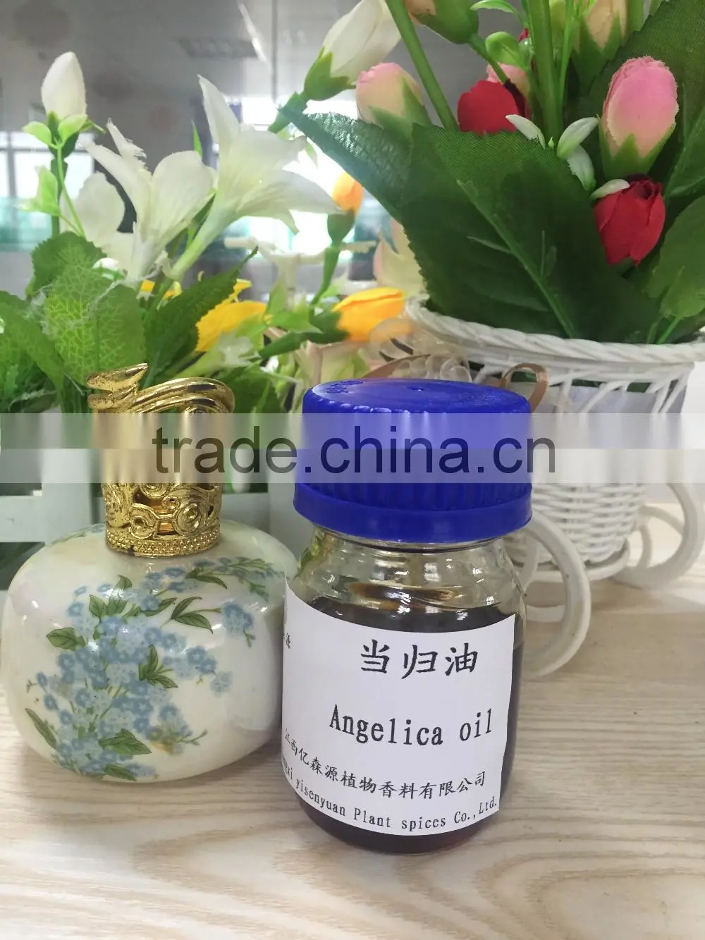 natural angelica root essential oil bulk