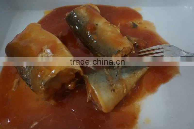 Canned mackerel in tomato sauce for canned seafood importer