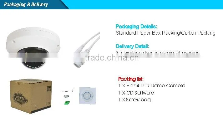 Fisheyes 2.1mm Fixed Lens Sony CMOS H.264 2.0MP HD IP Dome Camera CCTV Camera