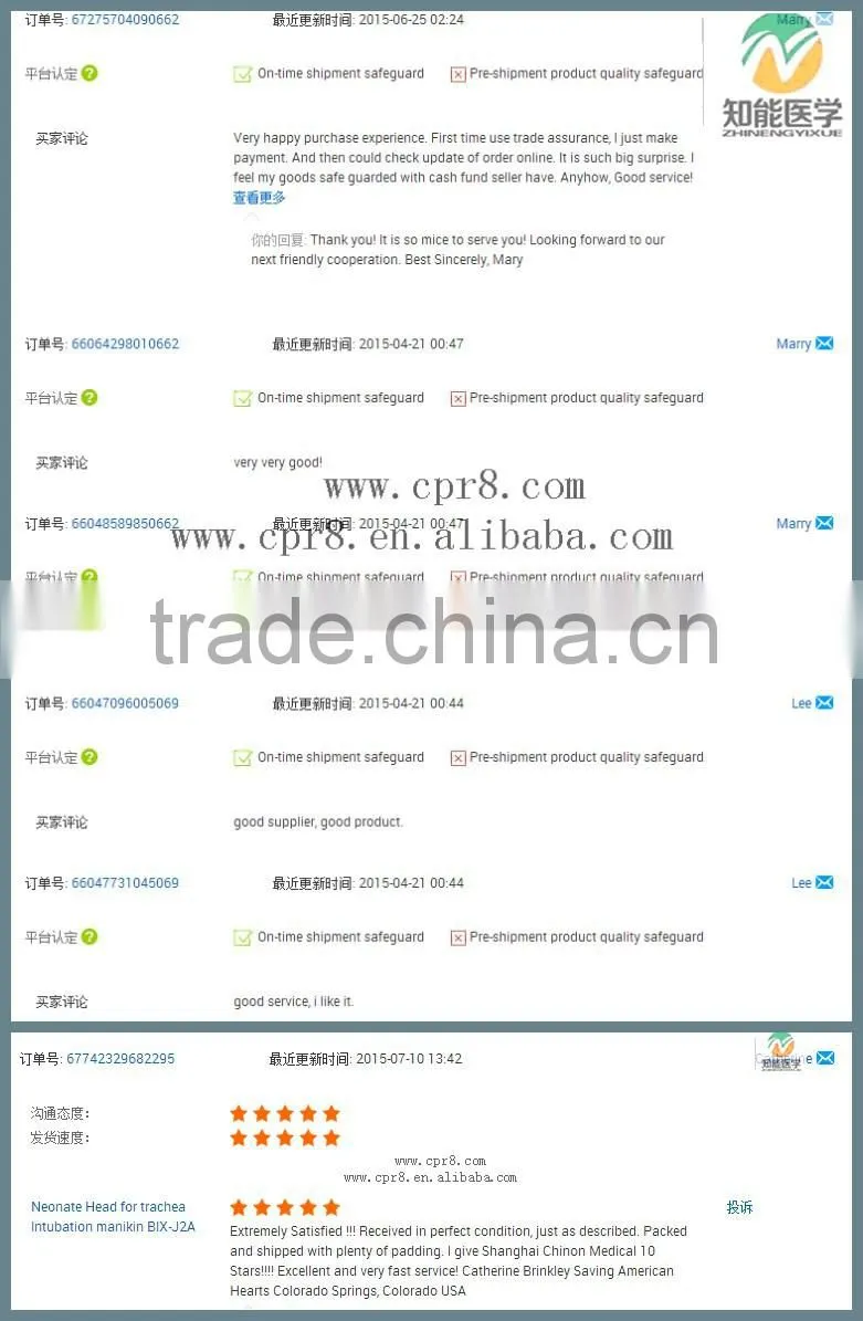 High Quality Ear Chinese Acupuncture Model