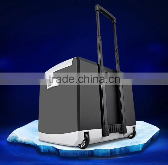 with wheels Thermoelectric cooler warmer hot cold mini fridge