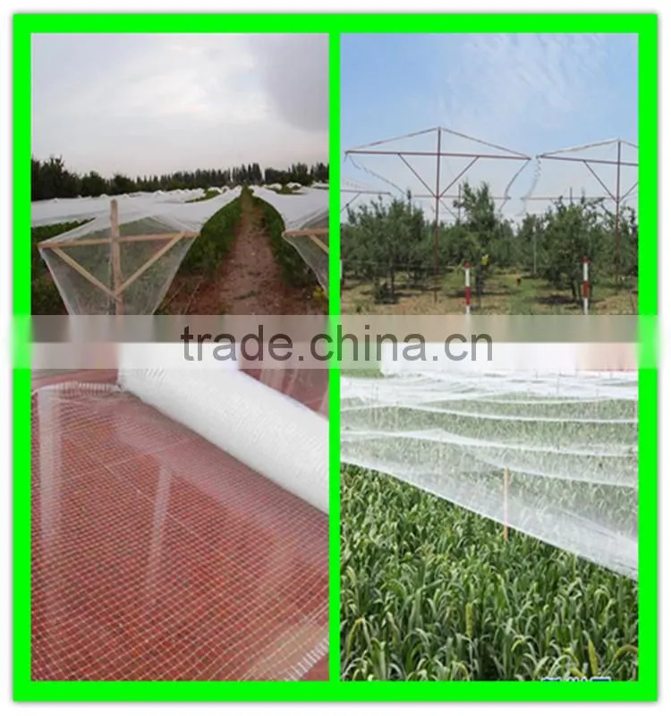 Hot sale cheap price plastic bird mist net for fruit tree