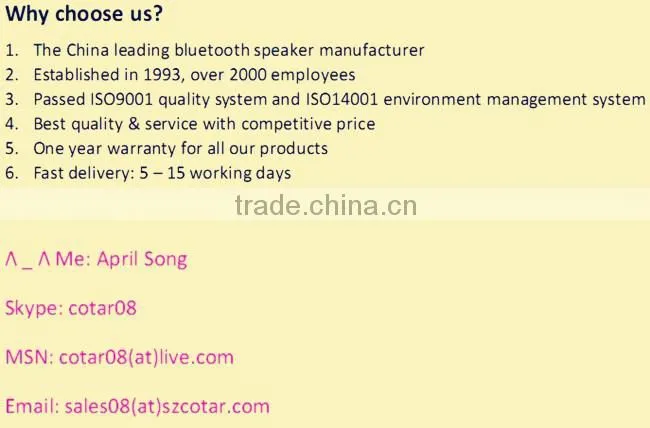 Mini Speaker With Bluetooth Support TF Card, USB,FM Speaker A10