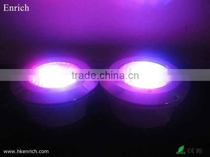 40w LED Swimming Pool Light