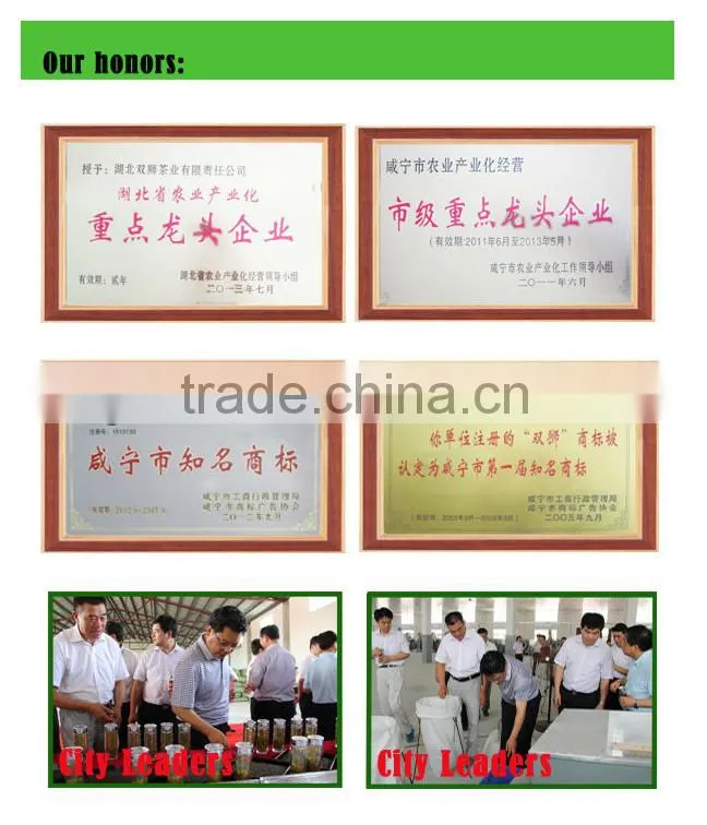 Hubei chunmee green tea 9371 from best tea garden