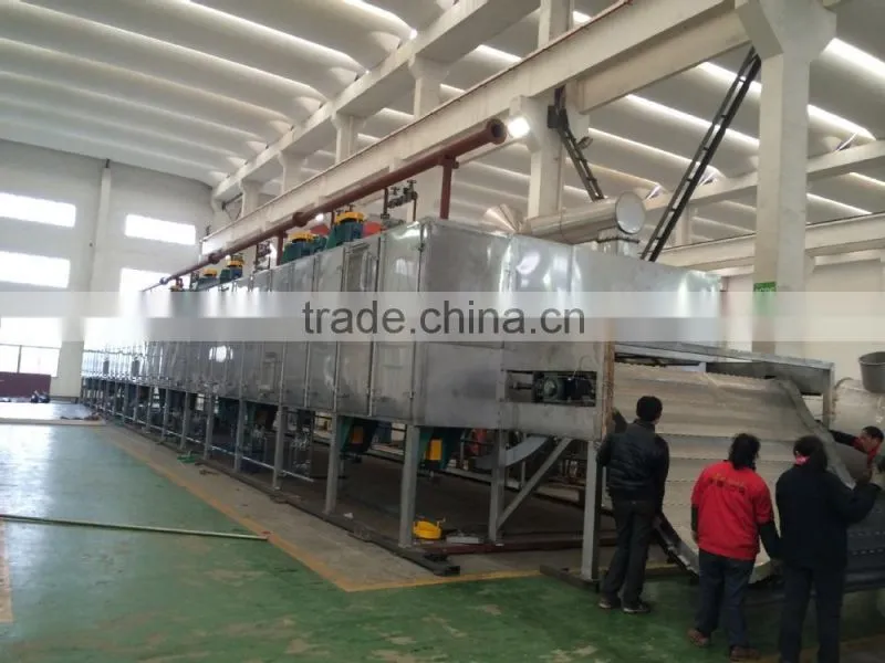 Apple chips/apple flakes mesh belt dryer