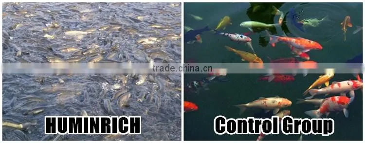 Huminrich Shenyang Soluble Sodium Humate Raw Material Animal Feed