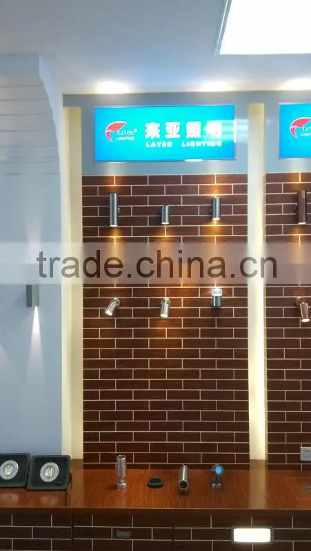 LED swimming pool light