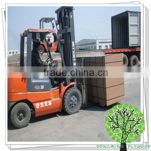 White Faced Plywood,White Polyester Plywood