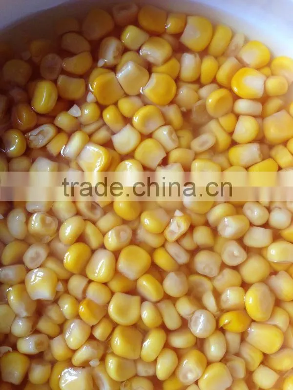High quality exporting to US market CANNED CORN