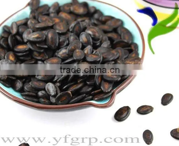 whosale bulk best raw red and black dry Watermelon Seeds for sale