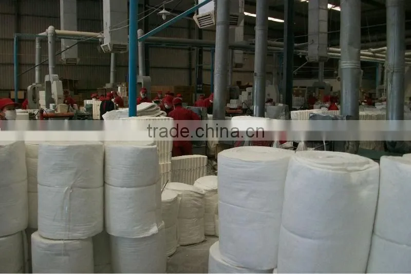 Ceramic Fiber Module (largest supplier of lining material in china)