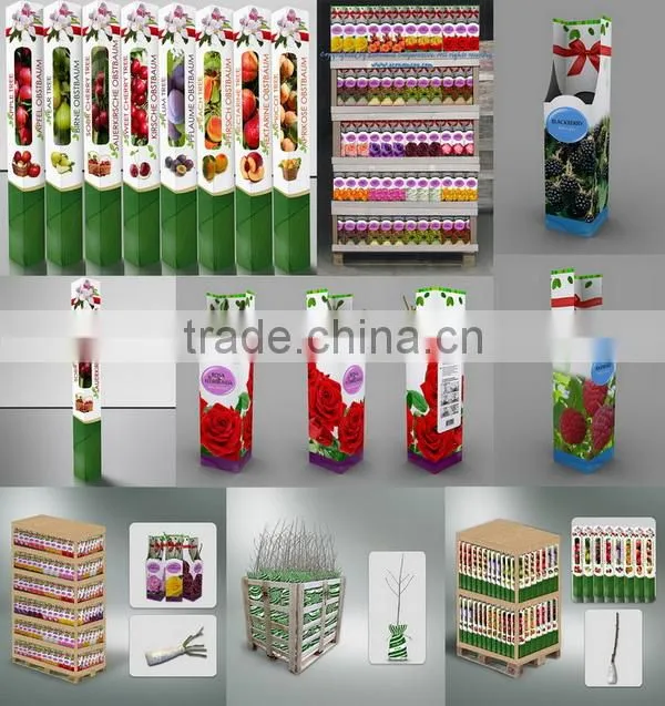 Econom Cop Doo Subotica company overview - view 2