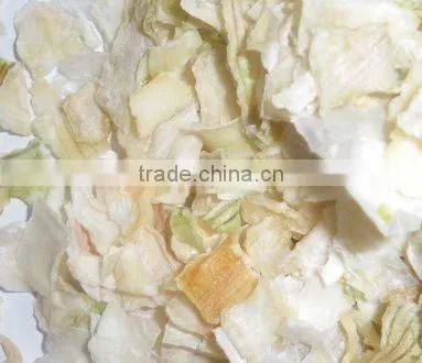 White Dried Onion Slice