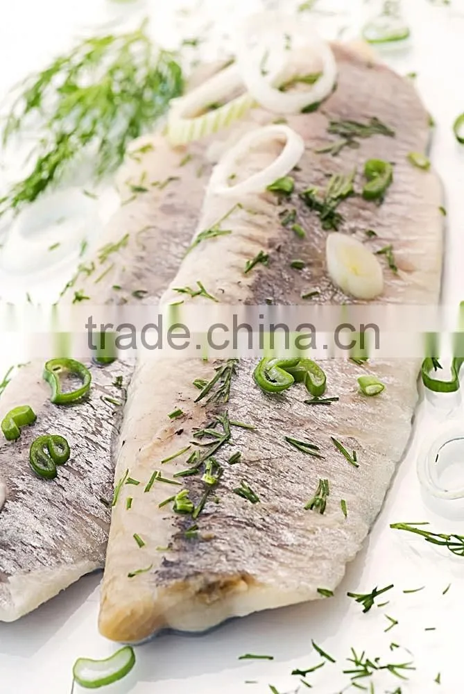 125g 155g 425g OEM Canned Sardine In Tomato Sauce and In Vegetable Oil with Low Price