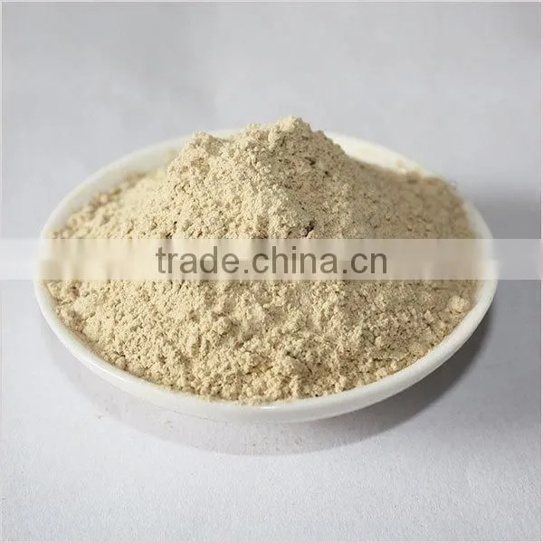 ground rhizoma kaempferiae