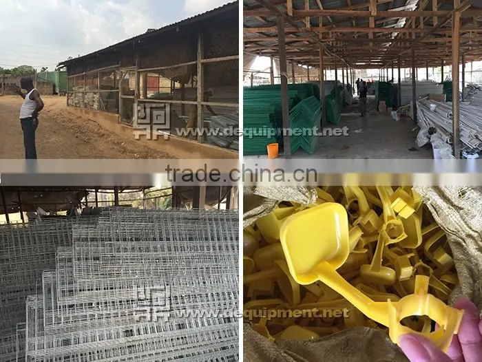 a type automatic battery chicken layer poultry cages for nigeria/africa