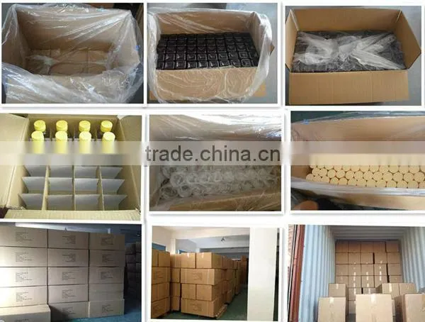 Plastic Water Spray Bottle