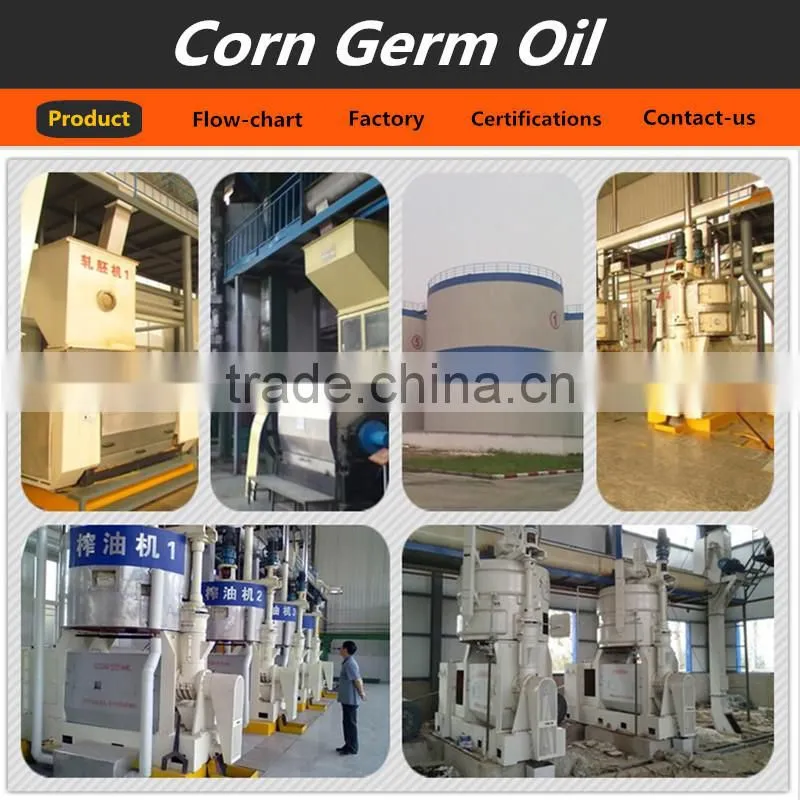 High efficient healthy corn oil extraction machine corn oil press machine price, corn oil machine