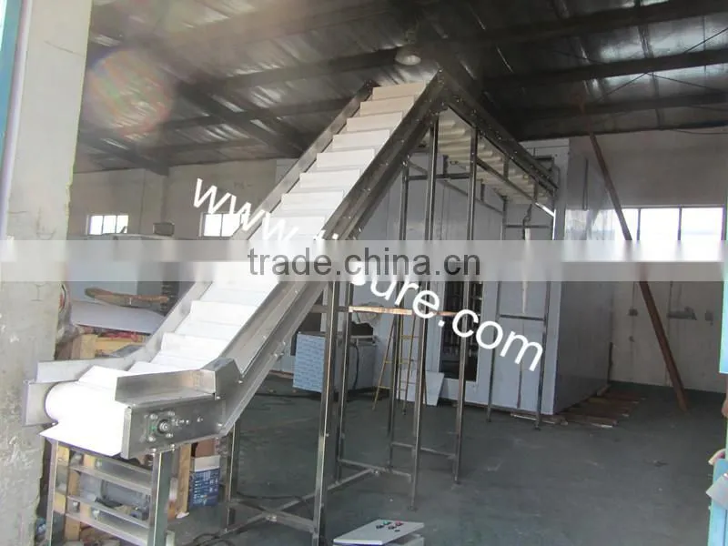 PVC PU belt Food Vegetable Fruit Hoisting Machine Elevator Hoister Conveyor