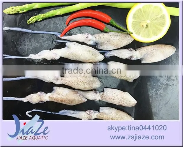 frozen seafood baby squid