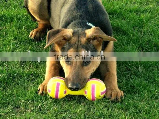 Plush pet toy for dog with squeaker